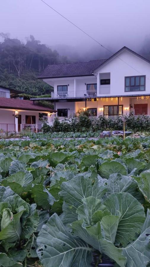 Ng Family'S Farm Stay Cameron Highlands Dış mekan fotoğraf